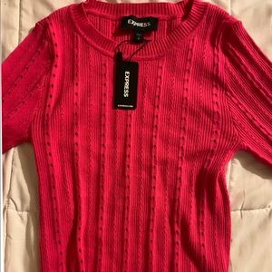 NWT Express Cropped Sweater